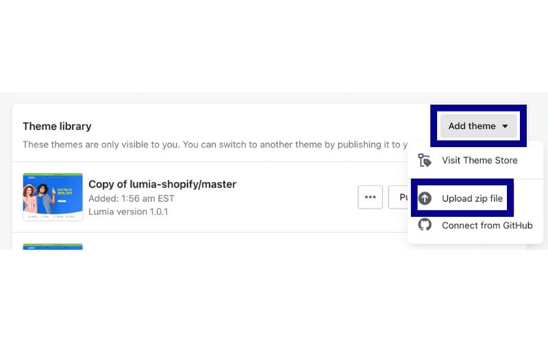 How to Add This Theme to Your Shopify Store 3